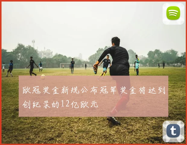 欧冠奖金新规公布冠军奖金将达到创纪录的12亿欧元