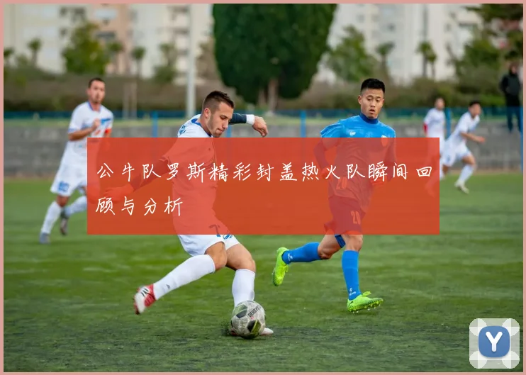 公牛队罗斯精彩封盖热火队瞬间回顾与分析