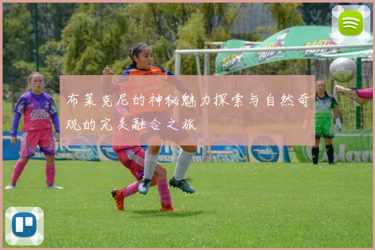 布莱克尼的神秘魅力探索与自然奇观的完美融合之旅