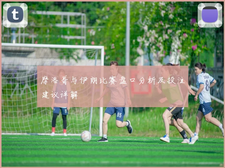 摩洛哥与伊朗比赛盘口分析及投注建议详解